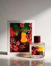 Flor de Cajueiro